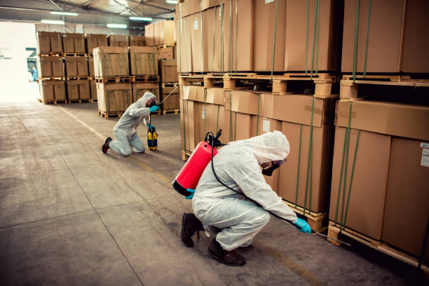 Best Flea Control Services  in Eton, GA