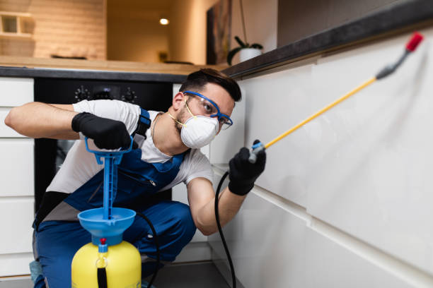Trusted Eton, GA Pest Control Experts