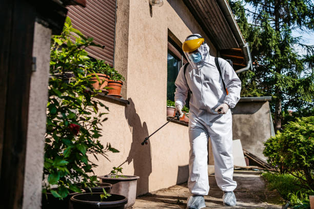 Best Affordable Pest Control Services  in Eton, GA