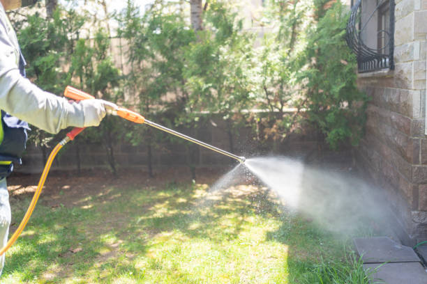 Best Affordable Pest Control Services  in Eton, GA