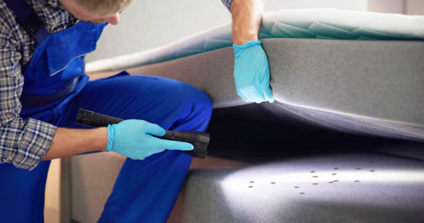 Best Wasp Removal Services  in Eton, GA