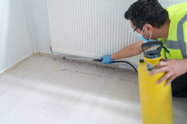 Best Commercial Pest Control Services  in Eton, GA